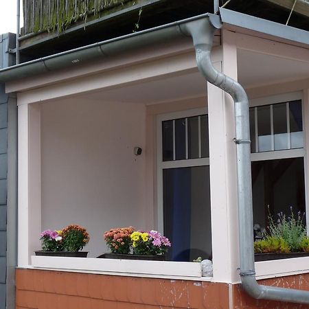 Ferienwohnung Schleussig ไลป์ซิก ภายนอก รูปภาพ